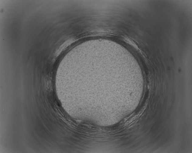 X0000062651259200601111142