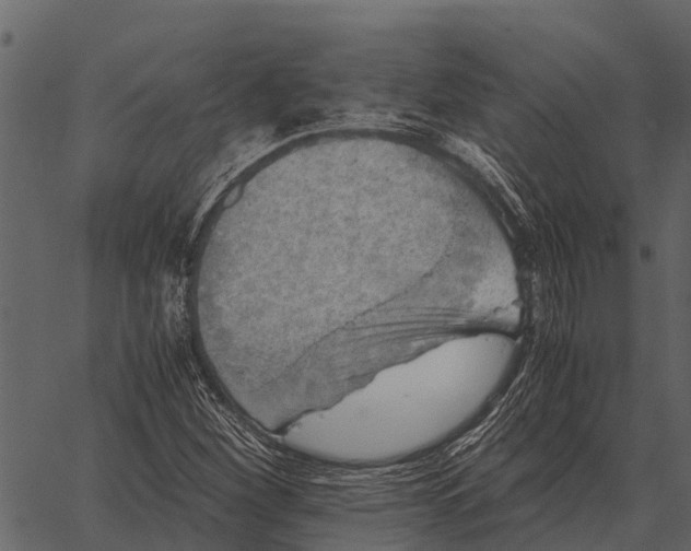 X0000062651260200601111142