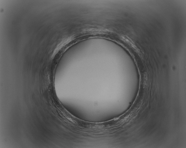 X0000062651261200601111142