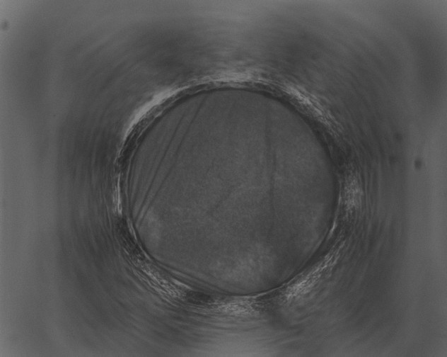 X0000062651262200601111142