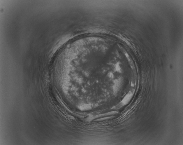 X0000062651263200601111142