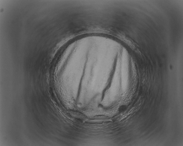 X0000062651264200601111142