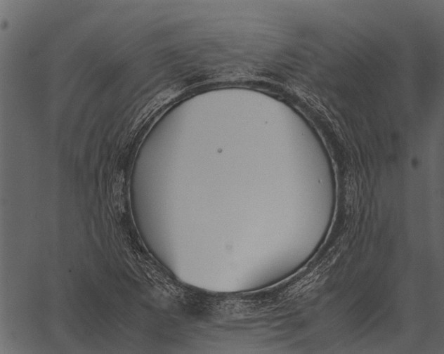 X0000062651265200601111142