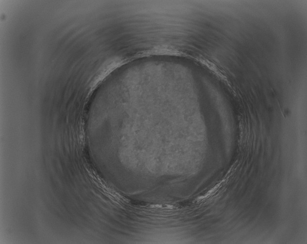 X0000062651266200601111142