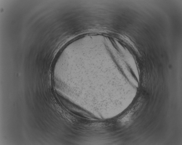 X0000062651268200601111142