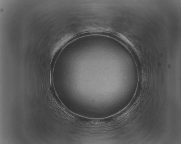 X0000062651269200601111142