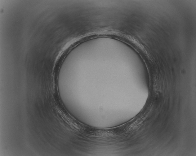 X0000062651270200601111142