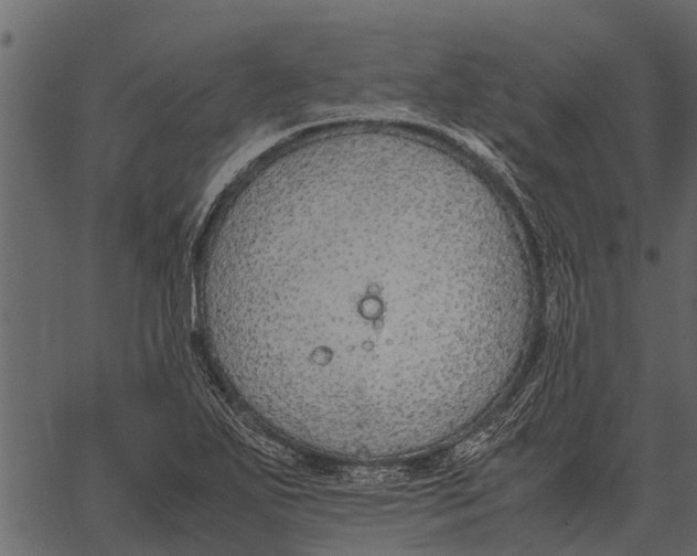 X0000062651271200601111142