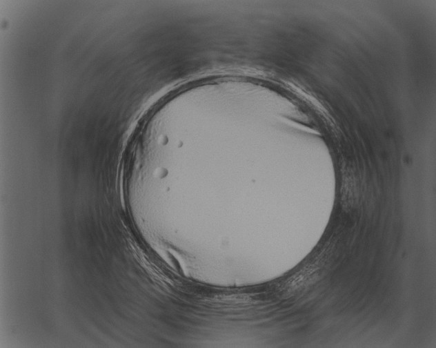 X0000062651272200601111142