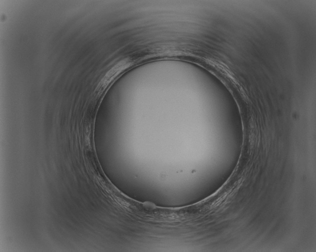 X0000062651273200601111142