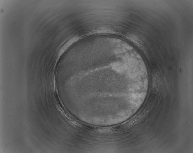 X0000062651274200601111142