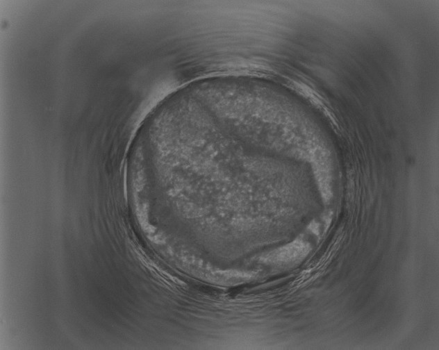 X0000062651275200601111142