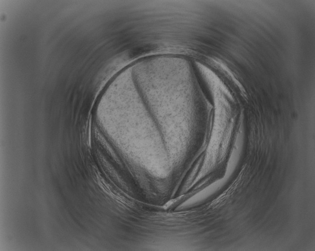 X0000062651276200601111142