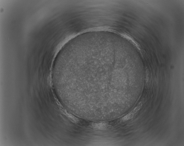 X0000062651278200601111142