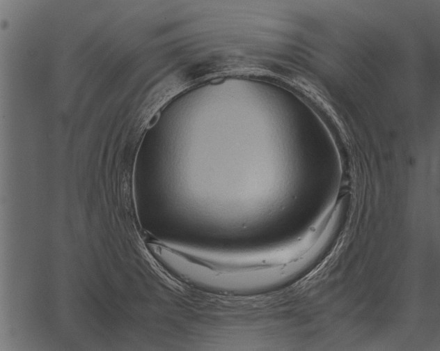 X0000062651281200601111142