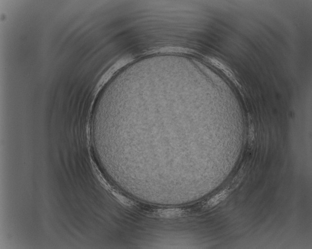 X0000062651282200601111142