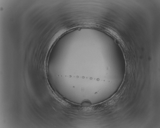 X0000062651283200601111142