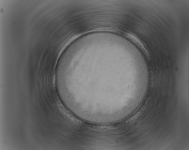 X0000062651284200601111142