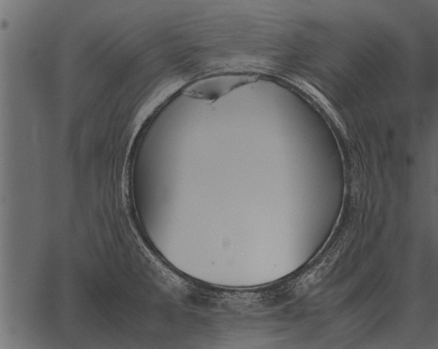 X0000062651285200601111142