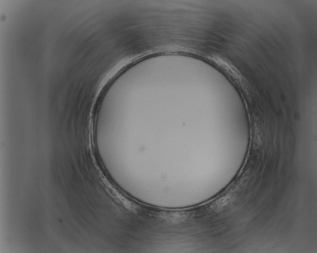 X0000062651286200601111142