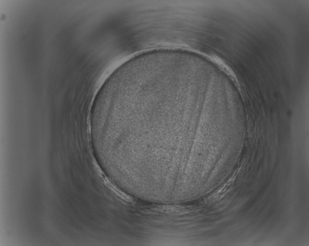 X0000062651287200601111142