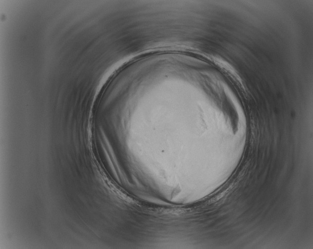 X0000062651288200601111142