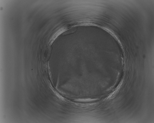 X0000062651289200601111142