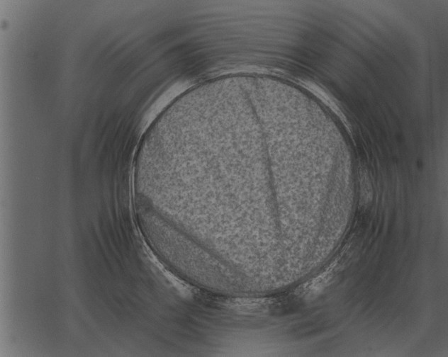 X0000062651290200601111142