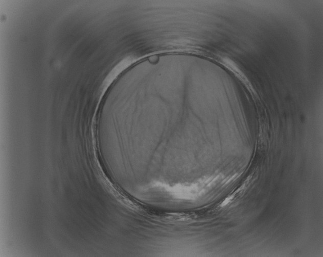 X0000062651291200601111142