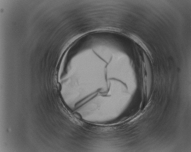 X0000062651292200601111142