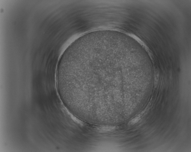 X0000062651294200601111142