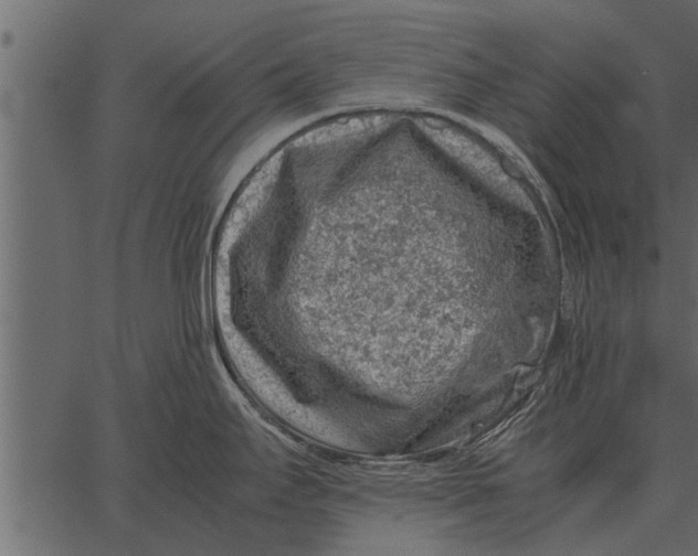 X0000062651295200601111142