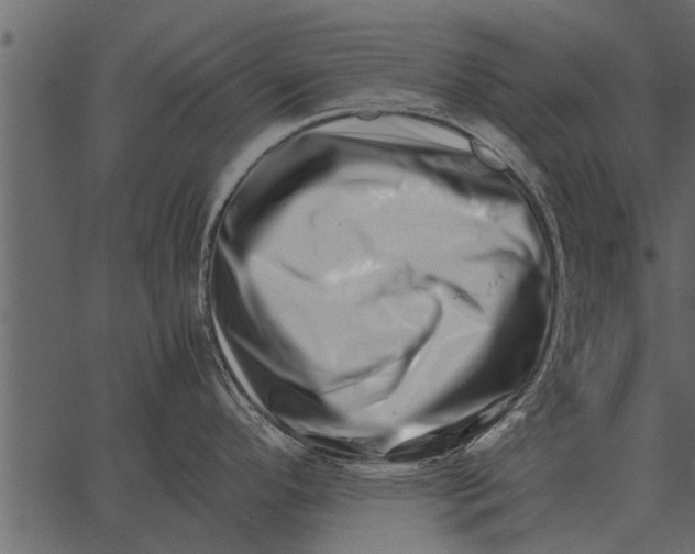 X0000062651296200601111142