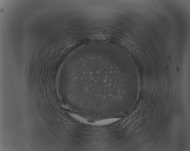 X0000062651297200601111141