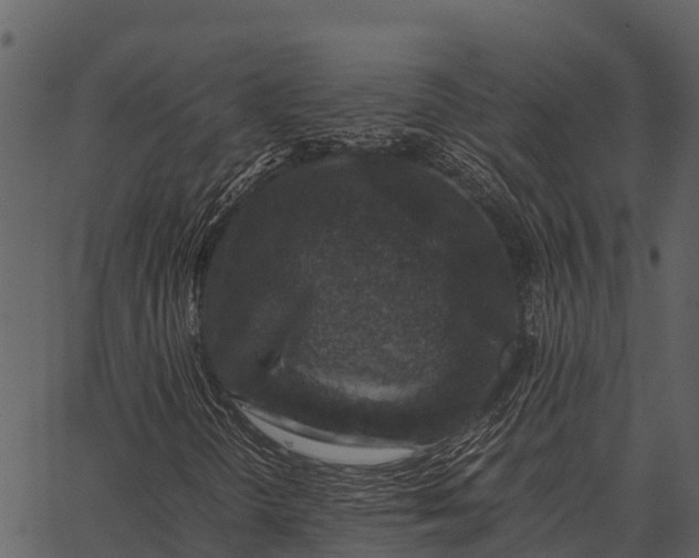 X0000062651298200601111141