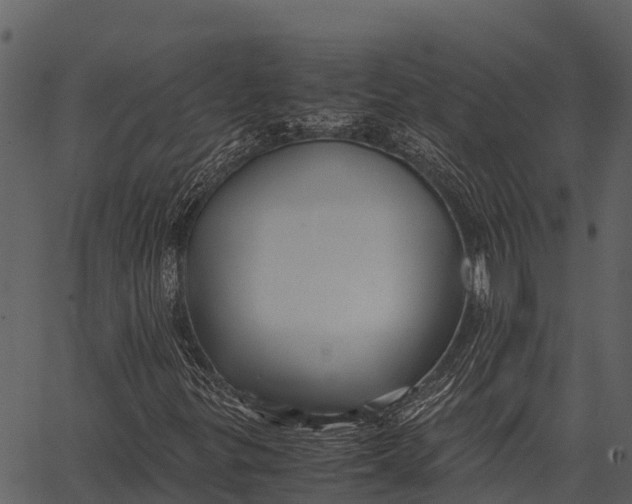 X0000062651299200601111141