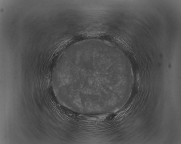 X0000062651300200601111141