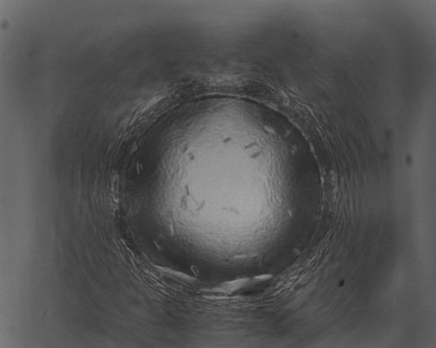 X0000062651301200601111141