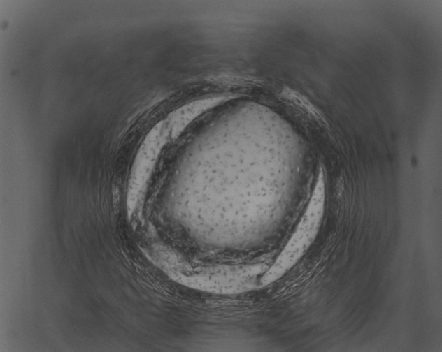 X0000062651302200601111141