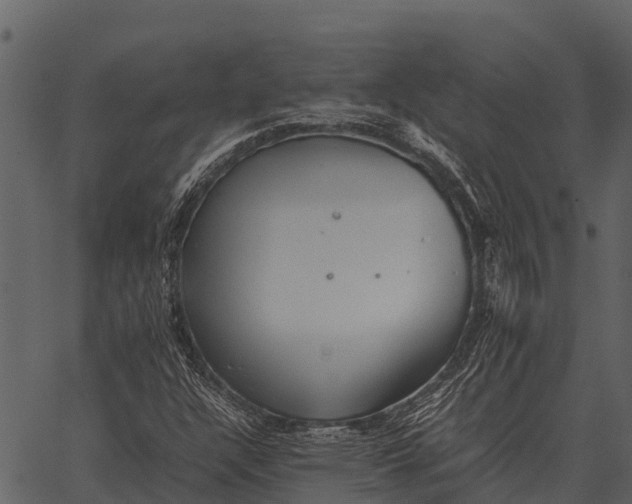 X0000062651304200601111141