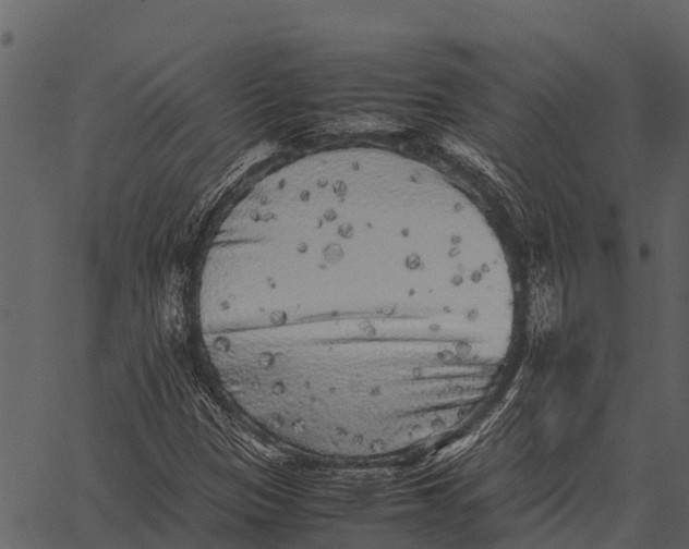 X0000062651305200601111141