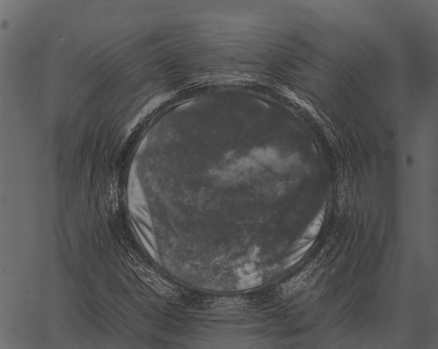 X0000062651306200601111141