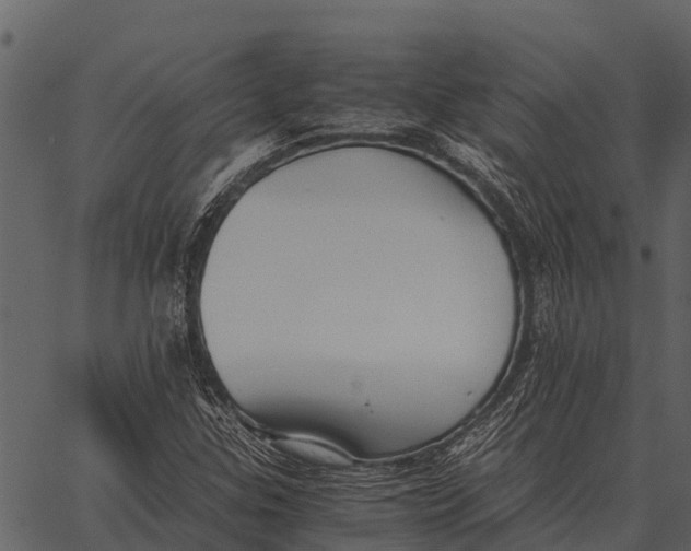 X0000062651307200601111141