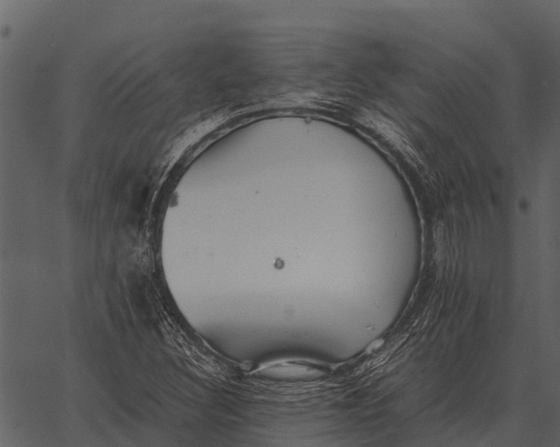 X0000062651308200601111141