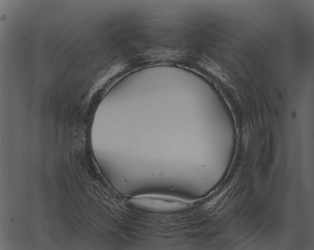 X0000062651309200601111141