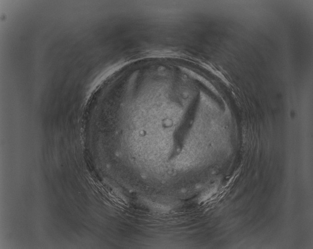 X0000062651311200601111141