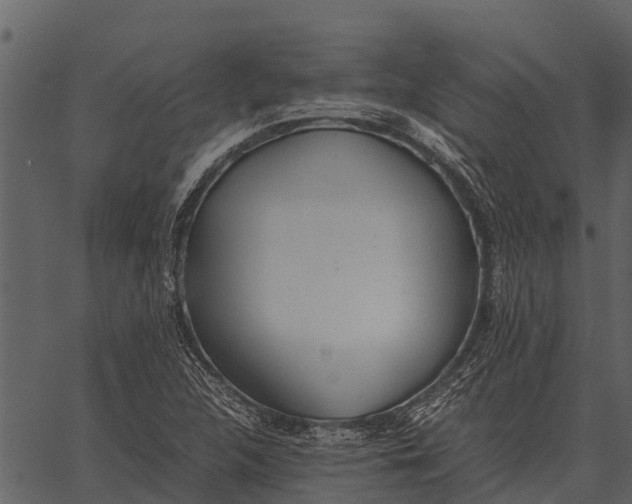 X0000062651312200601111141