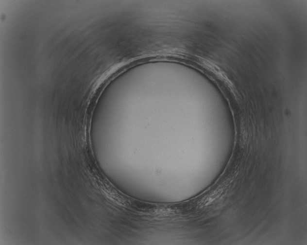 X0000062651316200601111141