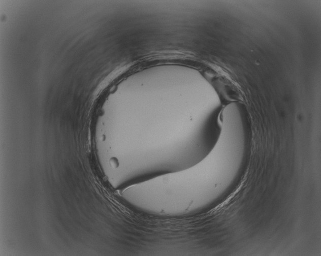 X0000062651317200601111141