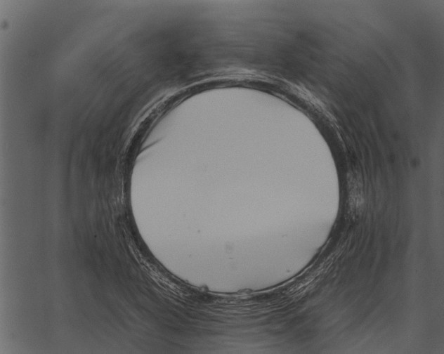 X0000062651318200601111141